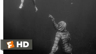 Creature from the Black Lagoon 410 Movie CLIP  Underwater Stalking 1954 HD