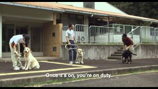 Quill The Life of A Guide Dog  Trailer