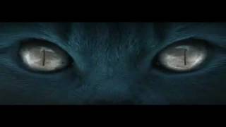 The Cat  Trailer