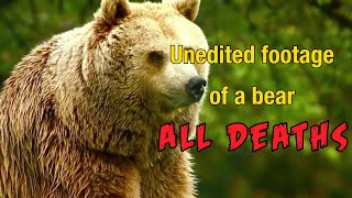 Unedited Footage of a Bear 2014 ALL DEATHS