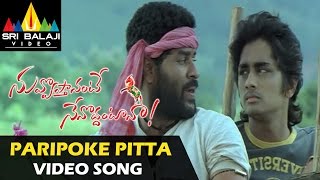 Nuvvostanante Nenoddantana Video Songs  Paripoke Pitta Video Song  Siddharth