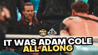 AEW Worlds End 2023 Review  Adam Cole IS THE DEVIL But Tony Khan FUMBLED The Ending of Joe vs MJF