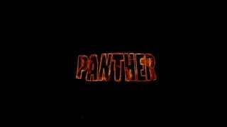 Panther 1995 trailer Kadeem Hardison Bokeem Woodbine Courtney B Vance Marcus Chong