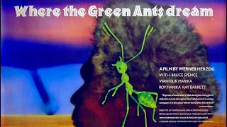 Official Trailer  WHERE THE GREEN ANTS DREAM 1984 Werner Herzog Bruce Spence