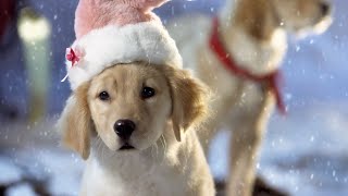 Santa Buddies 2009 ORIGINAL TRAILER HD 1080p