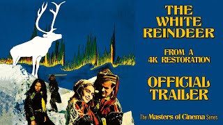 THE WHITE REINDEER 1952 Masters of Cinema New  Exclusive Trailer