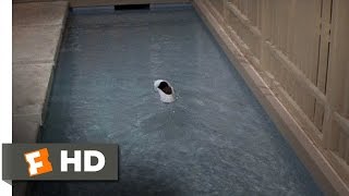 The Party 311 Movie CLIP  If the Shoe Floats 1968 HD