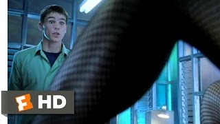 40 Days and 40 Nights 212 Movie CLIP  The Layout Problem 2002 HD