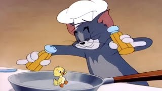 Tom and Jerry 47 Episode  Little Quacker 1 1950