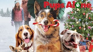 Pups Alone 2021 Christmas Film  Review