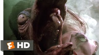 The Witches 1010 Movie CLIP  Pest Control 1990 HD