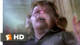 The Witches 510 Movie CLIP  Hello Little Bruno 1990 HD