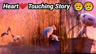 Heart touching Dog Herons story A Joy Story Joy and Heron Short Film by Passion Pictures Australia