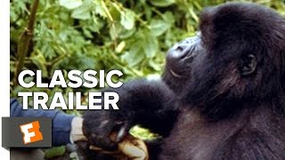 Gorillas In The Mist 1988 Official Trailer  Sigourney Weaver Bryan Brown Movie HD