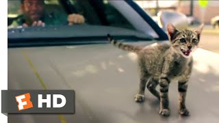 Keanu 2017  Kitty Car Chase Scene 910  Movieclips