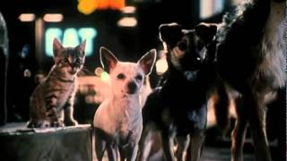 Babe Pig in the City Official Trailer 1  Mickey Rooney Movie 1998 HD
