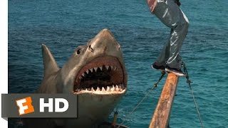 Jaws The Revenge 78 Movie CLIP  The Beast Comes Back 1987 HD