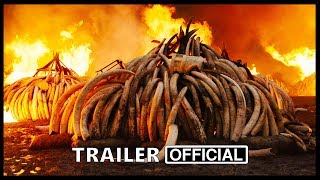 Anthropocene The Human Epoch Movie Trailer 2019  Documentary Movie
