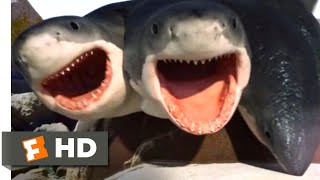 6Headed Shark Attack 2018  Trapped by the Shark Scene 1010  Movieclips