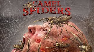 Camel Spiders Full Movie Review in Hindi  Story and Fact Explained  Brian Krause  CThomas Howell