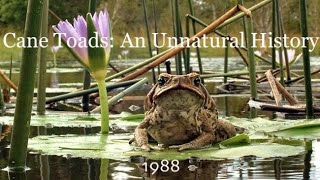 Cane Toads An Unnatural History 1988 Episode 45