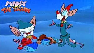 A Pinky and the Brain Christmas 1995 Animated Short Film  Review