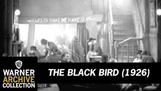 Preview Clip  The Black Bird  Warner Archive