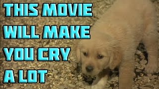 10 Promises to my dog 2008  Try not to cry  BingeWatch Banda