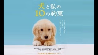 10 Promises to My Dog  Trailer VO Subtitulado ING