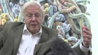 Attenboroughs Natural Curiosities Exclusive interview with David Attenborough