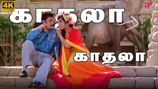 Kadhala Kadhala 4K Video Song  Avvai Shanmugi Movie Songs  Kamal Haasan  Meena  Deva