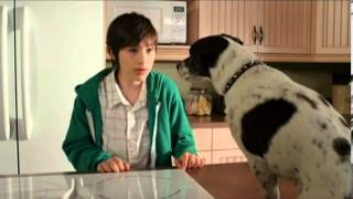 Vampire Dog 2012 Movie Trailer