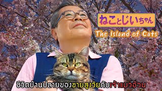    The Island of Cats 2019