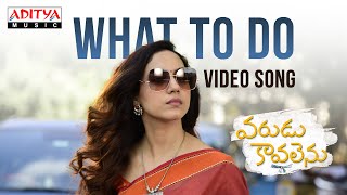 What To Do Video Song Varudu Kaavalenu Songs Naga Shaurya Ritu Varma Lakshmi Sowjanya Vishal C