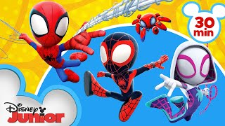 Meet Marvels Spidey and his Amazing Friends  disneyjunior