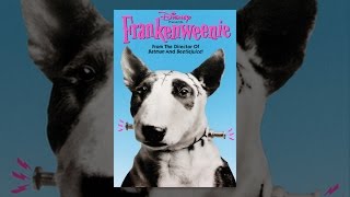 Frankenweenie 1984