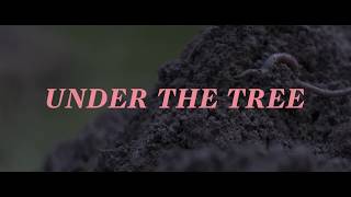 W cieniu drzewaUnder the TreeUndir Trenu Trailer