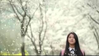 Trailer KBS Orange Marmalade