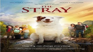 The Stray 2017  Official Trailer