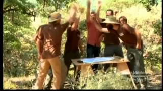 Animal Planet Treehouse Masters  Trailer for Season Premiere May 31 2013 10pm ET