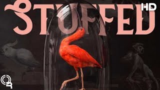 Stuffed  2019 Official Movie Trailer Documentary Film