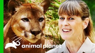 Terri Irwin Visits A Wildlife Sanctuary Very Close To Her Heart  Crikey Its The Irwins