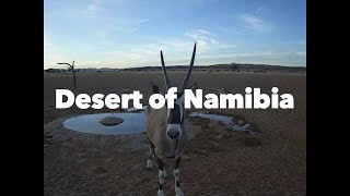 Desert of Namibia 2024  Bande annonce HD VOST