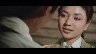  Live Full movie ODD OBSESSION 1959  KAGI The Key  Japanese w English subtitles HD