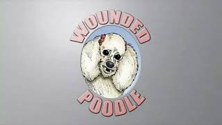 Olive Bridge EntertainmentWounded Poodle Productions20th Century Fox Television The Loop