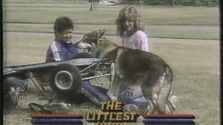 The Littlest Hobo CTV commercial 1980s