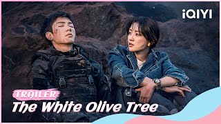 TrailerYou are the Sunshine that Illuminates Me  The White Olive Tree  iQIYI Romance  stay tuned