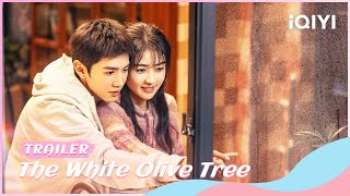 TRAILER  Want to protect the world also want to protect youThe White Olive Tree  iQIYI Romance