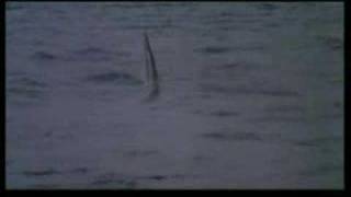 CRUEL JAWS 1995 Trailer