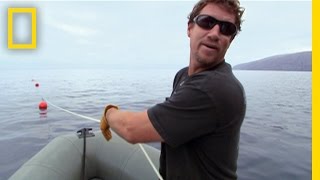 Meet the Shark Men Brett  National Geographic